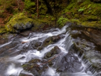 Fundy National Park Of Canada